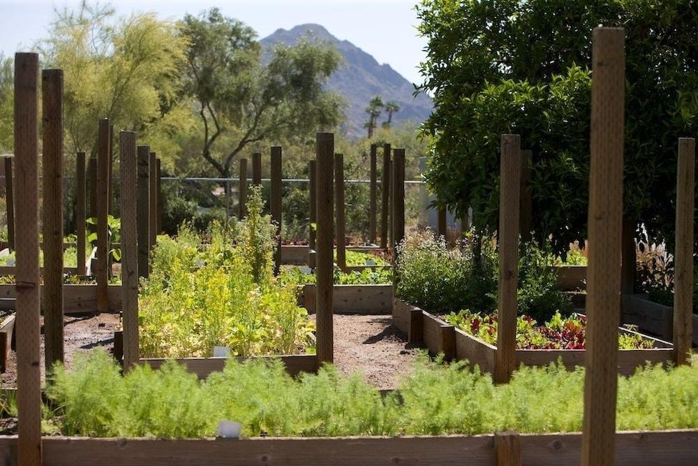 The Hermosa Inn Phoenix Ngoại thất bức ảnh